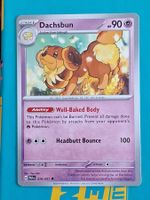 Dachsbun - Pokemon Paldean Fates