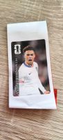 Album panini / Coca-Cola / Antonee Robinson.