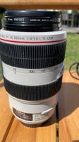 Canon EF 100-300mm F/4-5.6L IS USM