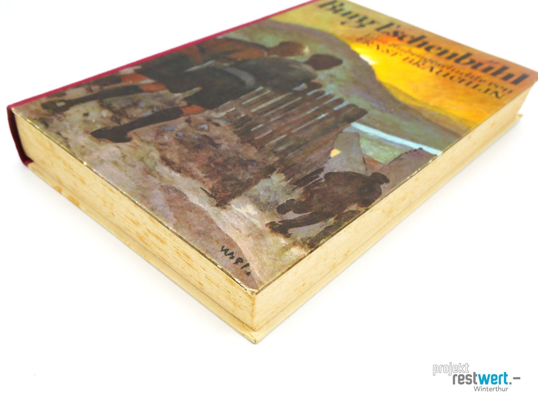 Bücher: BURG ESCHENBÜHL Eine Bubengeschichte E. Brauchlin – Gebraucht aus Winterthur von Restwert_Winterthur 3