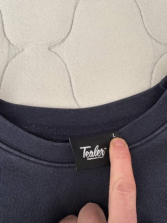 Pullover & Sweatshirts: Tealer pull taille L  – Gebraucht aus Geneve von tom_d7f8 2