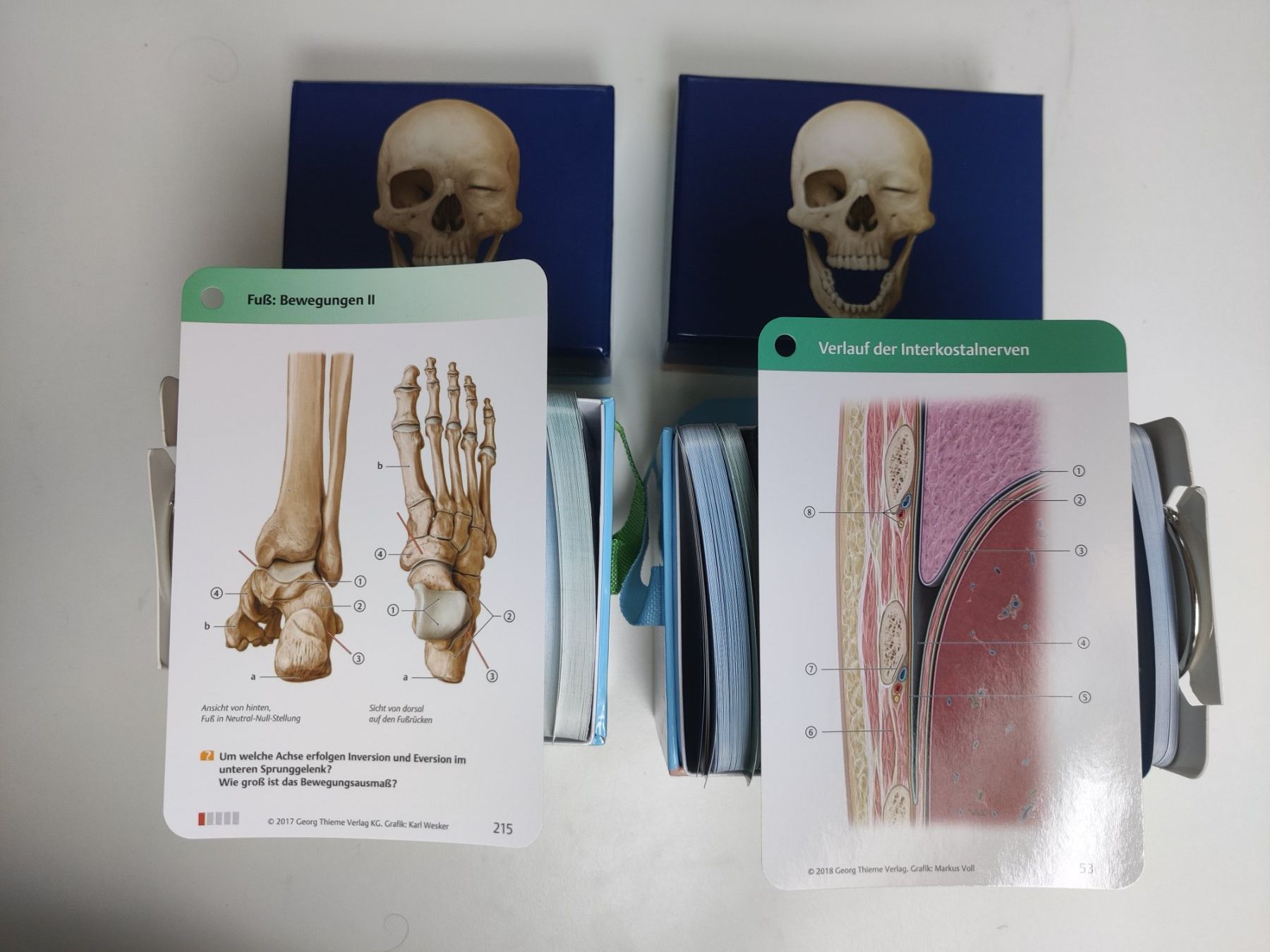 Altro materiale scolastico: Prometheus Lernkarten Anatomie Set 2-teilig – Usato da Zürich venduto da mft_xrc5 2