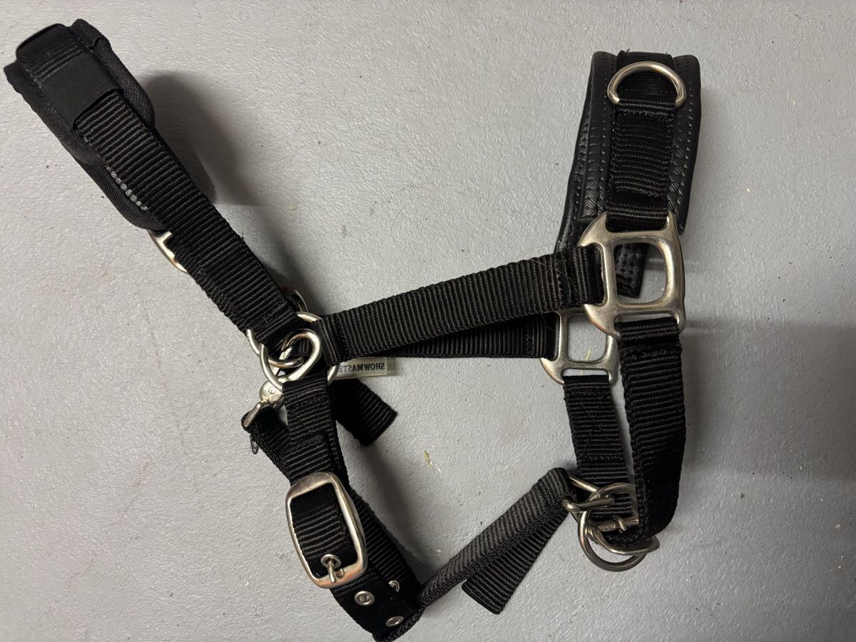 Briglie & Cavezze: Showmaster Pony Longierhalfter – Usato da Möriken AG venduto da Jamas76