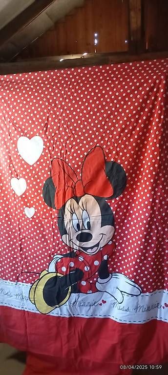 Disney Bettwäsche: Parure de lit Minnie Mouse ? Enfant – Gebraucht aus Ecuvillens von n.aissaoui