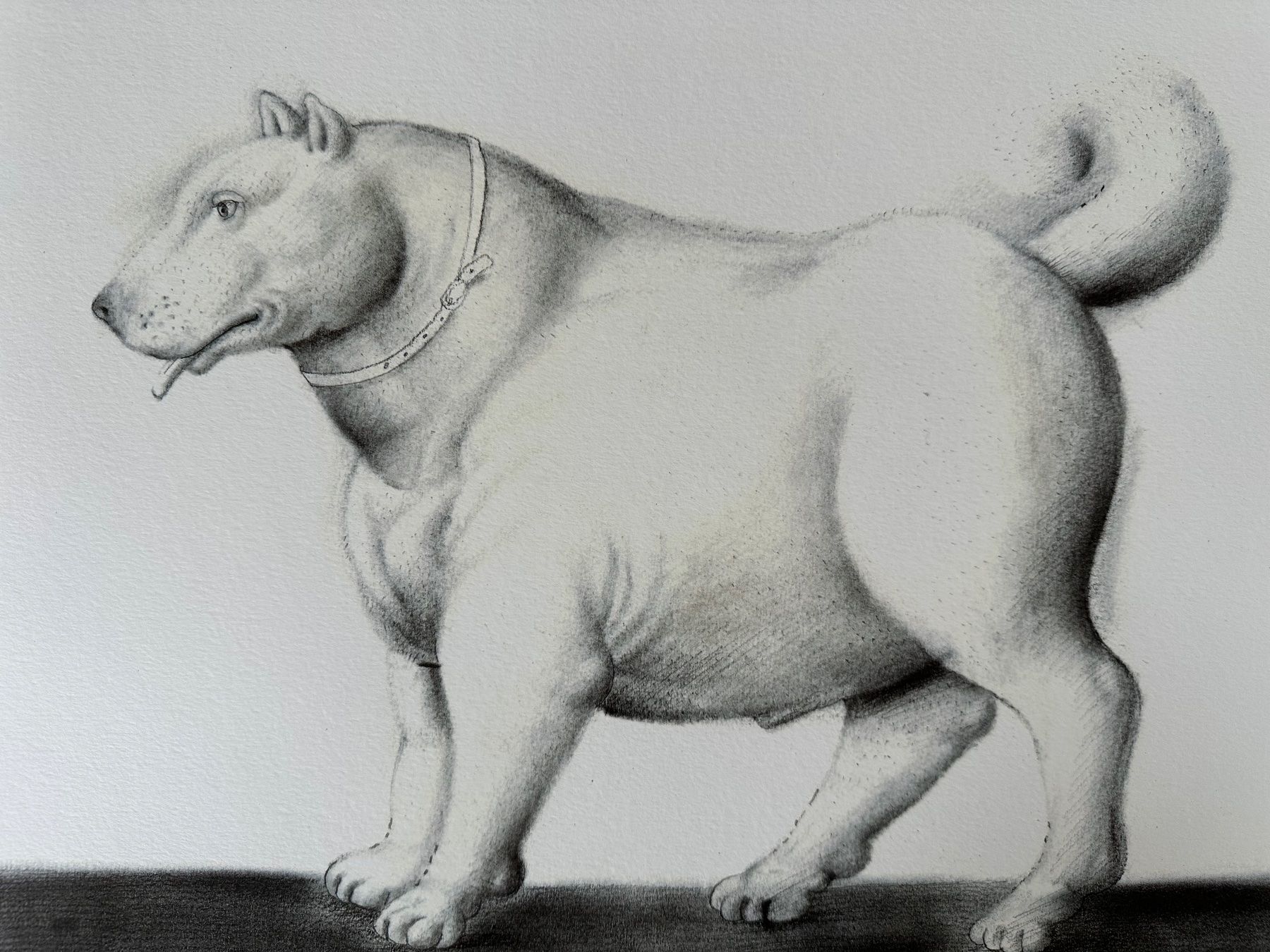 Posters & Illustrations: Fernando Botero: Dog 24/300 – Neuf (Voir description) à Meilen par Smgdesign 5