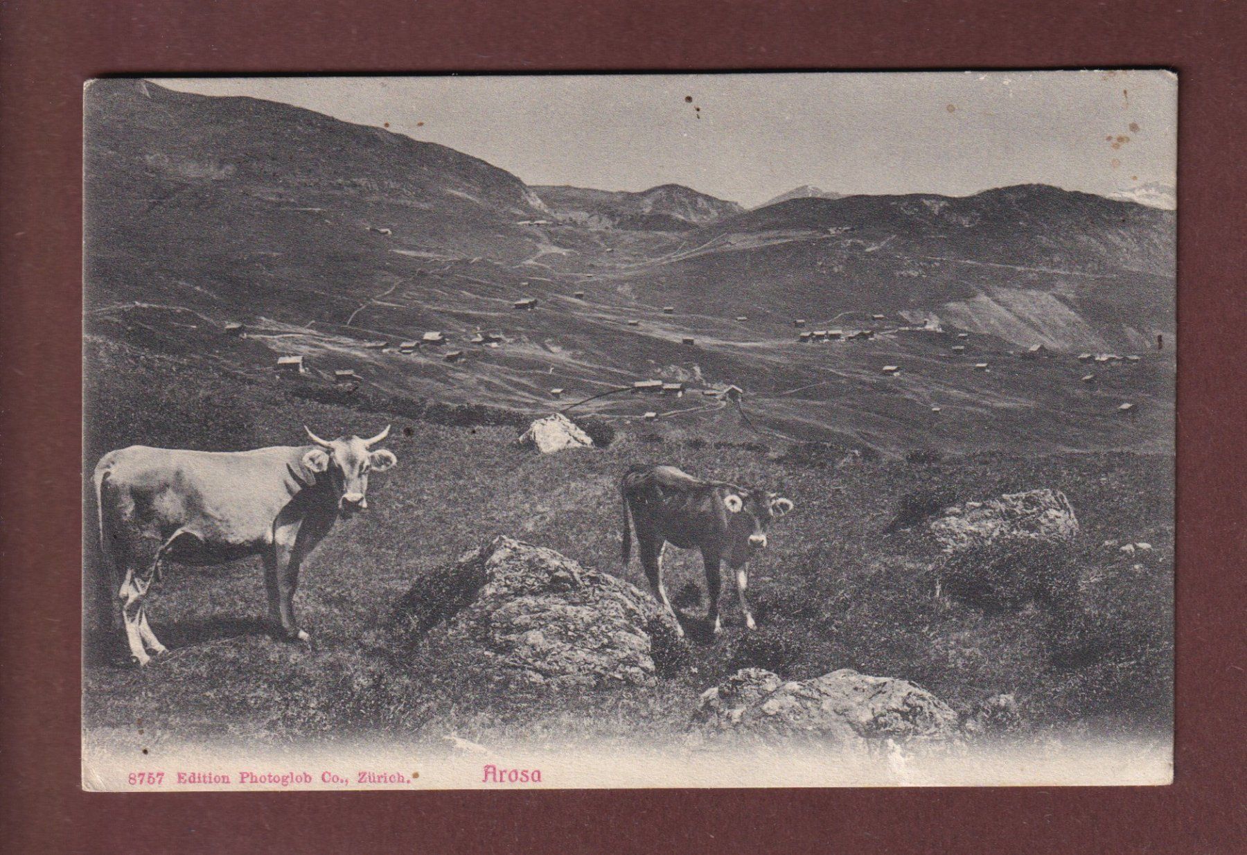Cartoline postali: Bei AROSA - Kühe - 1918 – Usato da Pully venduto da nicecards-shop