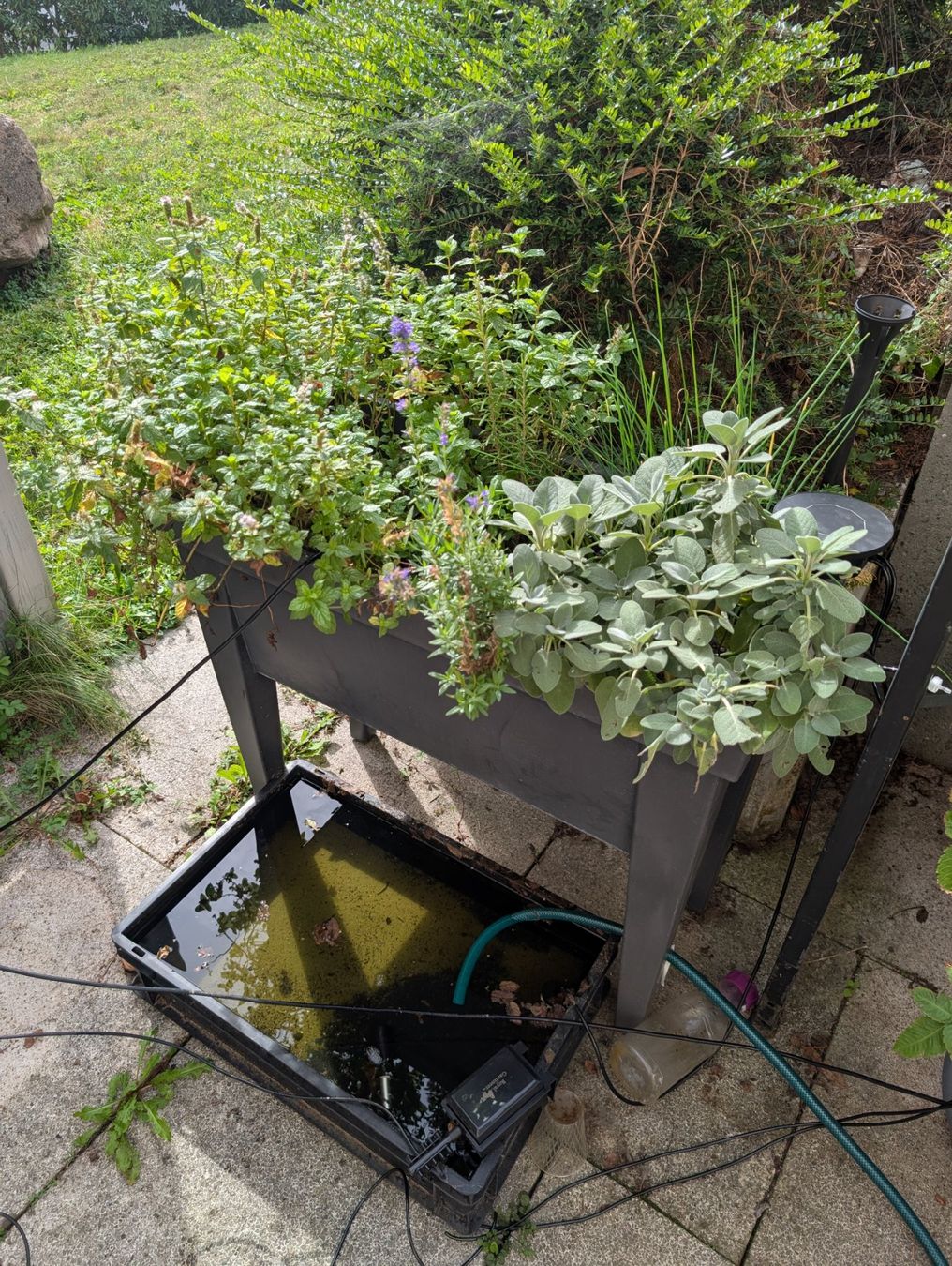 Coffres de rangement: Hochbeet – D'occasion à fällanden par dav_s7zg