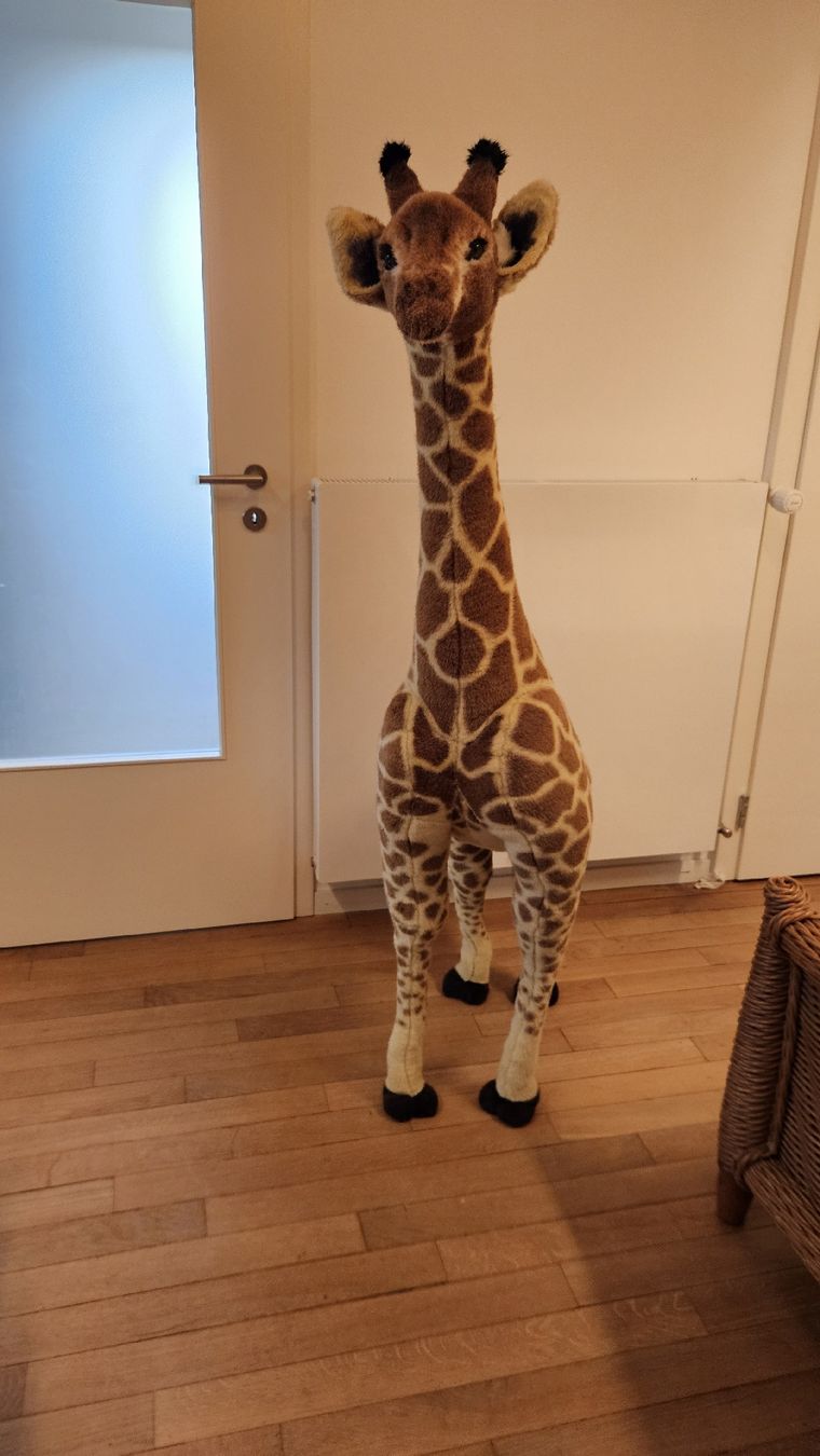 Giocattoli: Grande Girafe en peluche  – Usato da Yverdon-les-Bains venduto da ac_dric 1