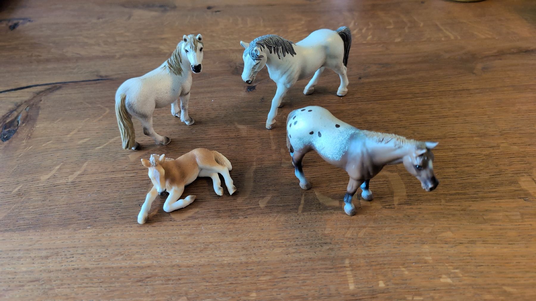 Schleich Spielzeuge: Schleichtiere – Gebraucht aus Uetikon am See von sal_jrs2