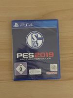 PES 2019 Schalke Edition PS4
