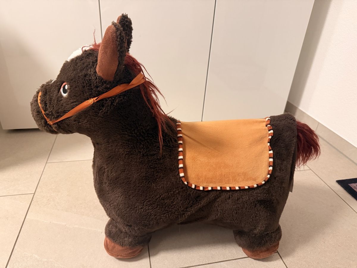 Jouets: Hüpfpferd, Sitzhöhe 30cm – D'occasion à Wilen b. Wil par carpediem25
