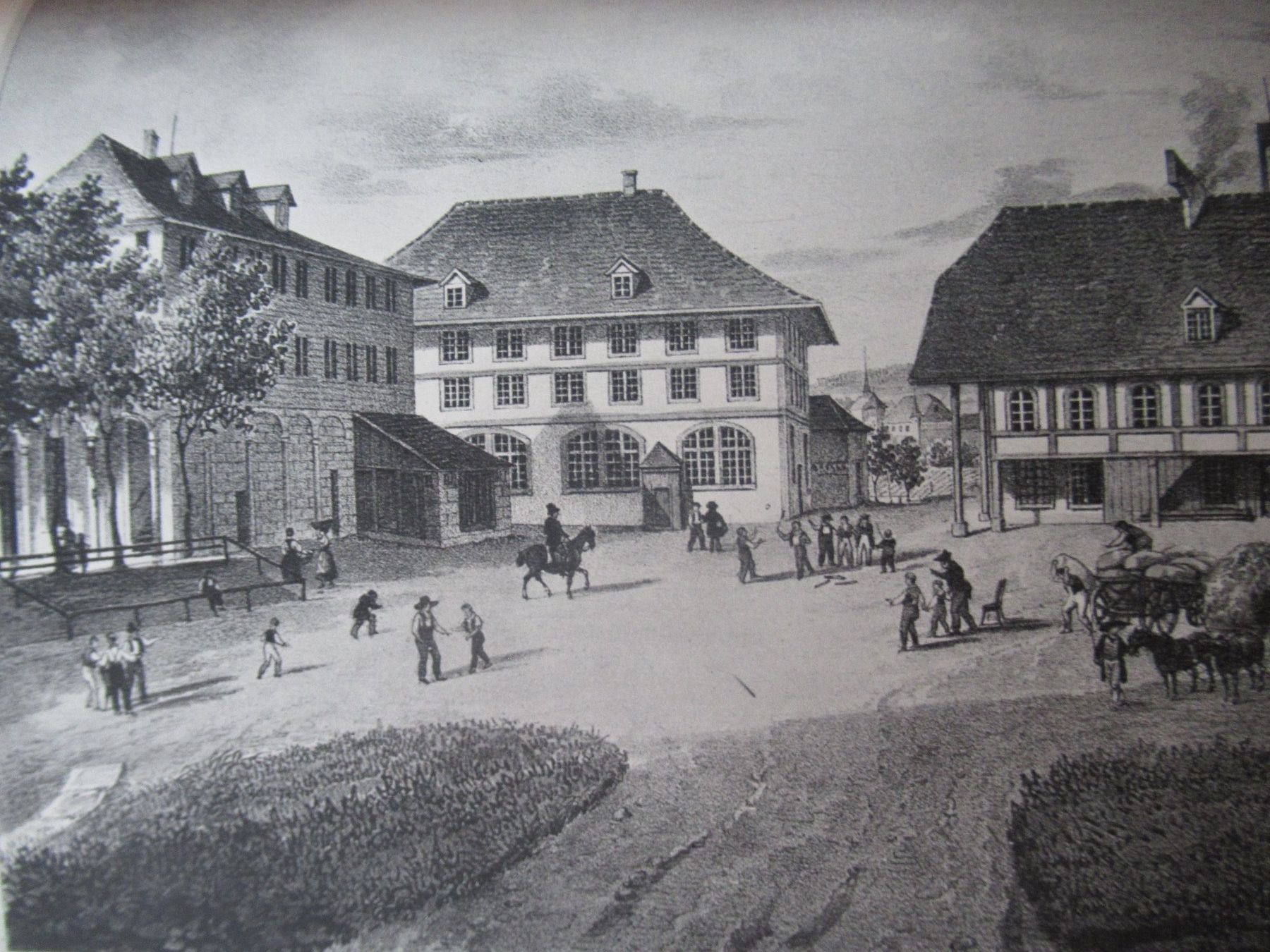 Libri: FELLENBERG  - DER STIFTER VON HOFWIL – Usato da Moosseedorf venduto da haro01 7