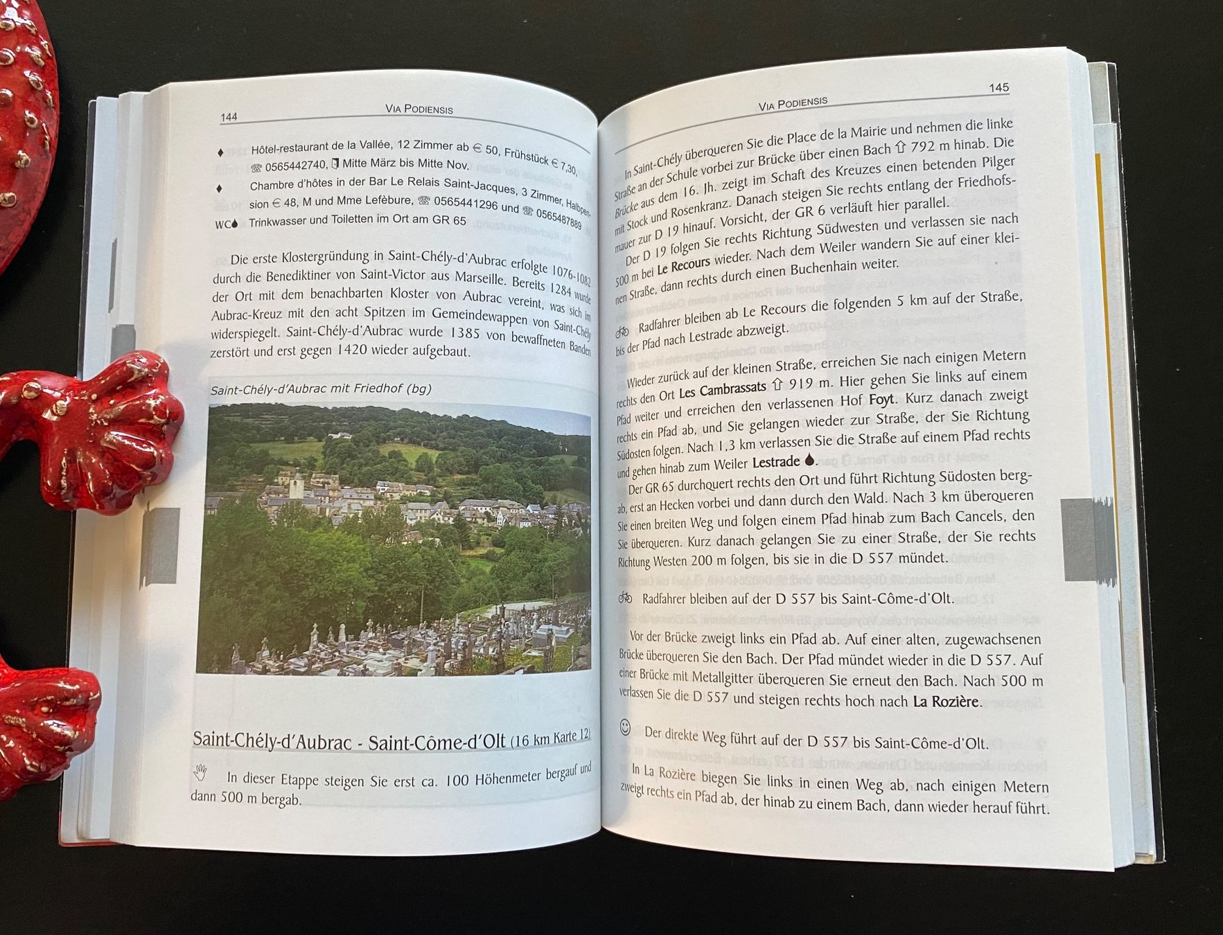 Libri: Jakobsweg GR 65 - Frankreich – Usato da Nussbaumen AG venduto da schuba2000 3