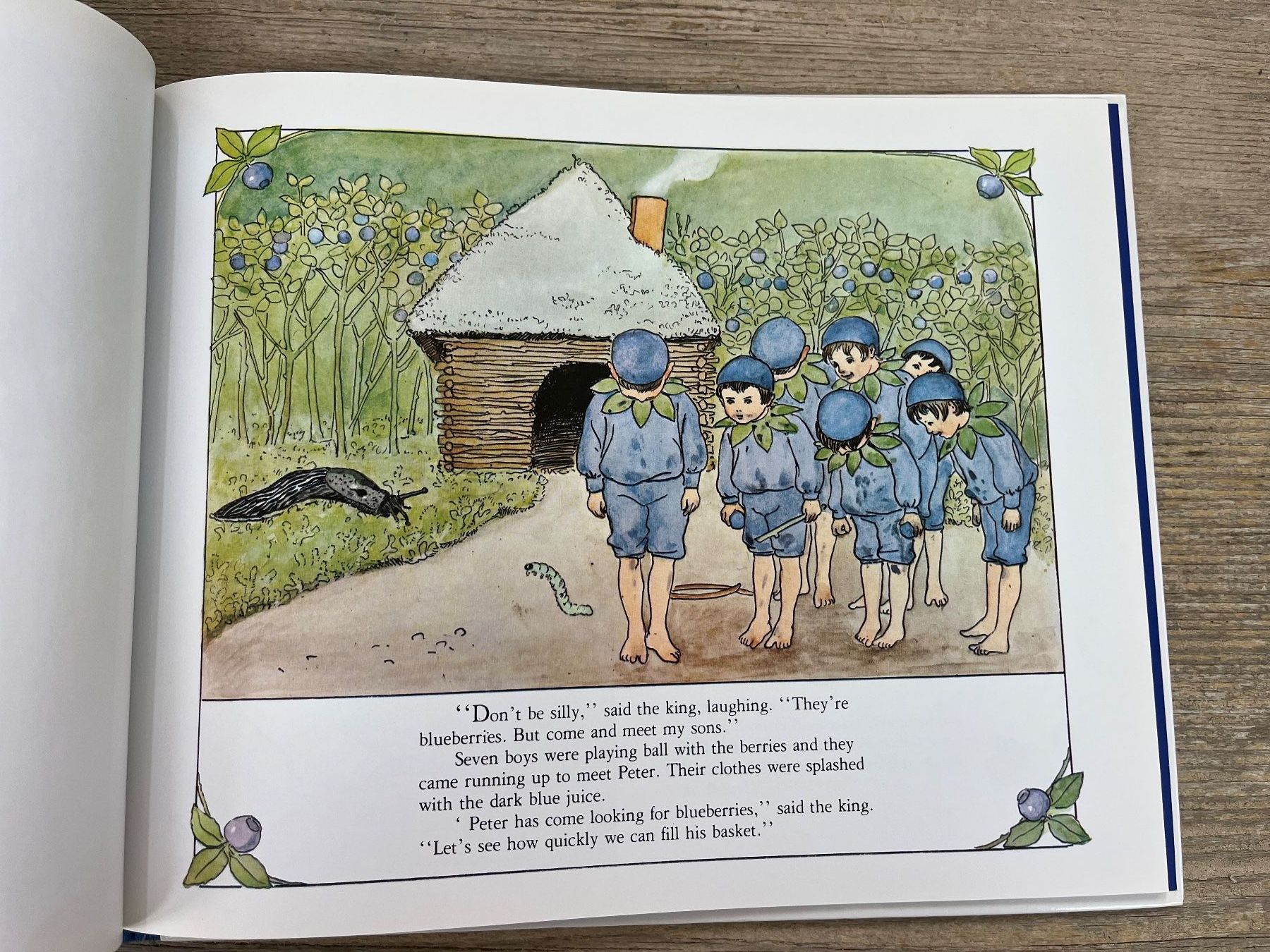 Libri: Elsa Beskov: Peter in Blueberry Land – Usato da Pfäffikon ZH venduto da buresi 5