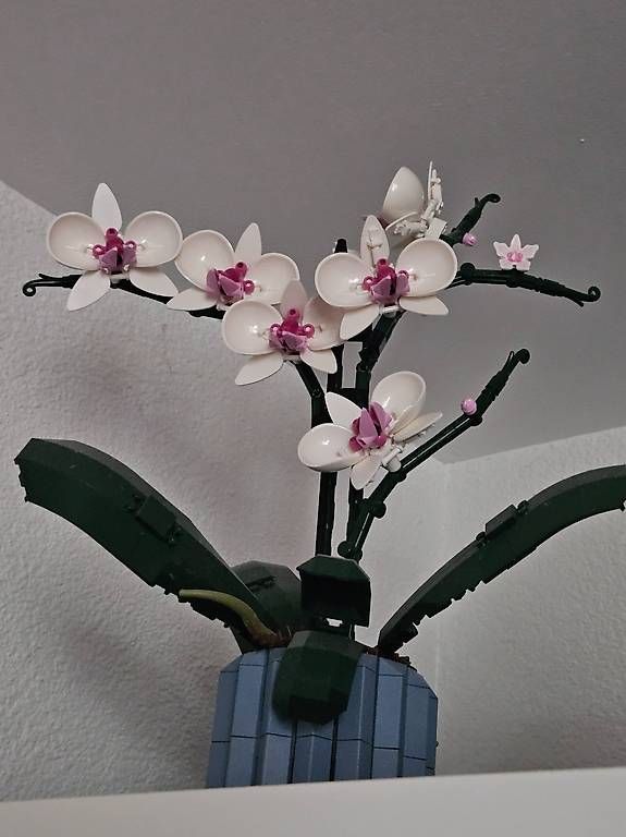 Lego Baukästen: Neuw. Lego Orchidee 10311 – Neu (gemäss Beschreibung) aus Uznach von Laeuffer