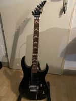 Vester E Gitarre