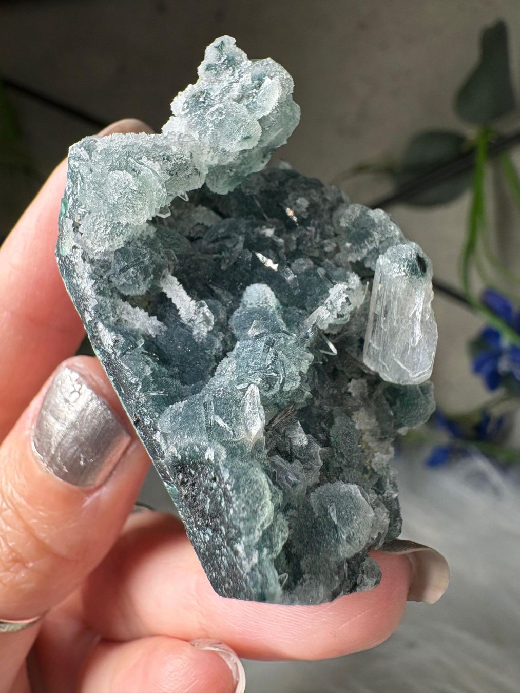 Minerali & Pietre curative: Chalcedon-Stalaktit mit Heulandit – Nuovo e nell'imballaggio originale da Neuheim venduto da m.hald 1