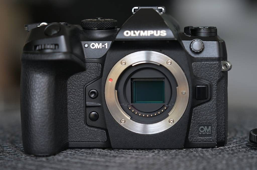 Olympus Fotocamera: Olympus / OM System OM-1 Systemkamera – Usato da Dübendorf venduto da seadart 2