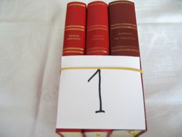 FERIENLEKTURE PACK 1;  zusammen verkaufen