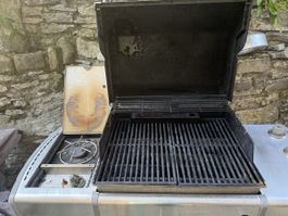 Gasgrill Weber Genesis