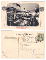 Fribourg, Brasserie du Cardinal, Cave à fermentation