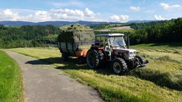 Steyr 8055
