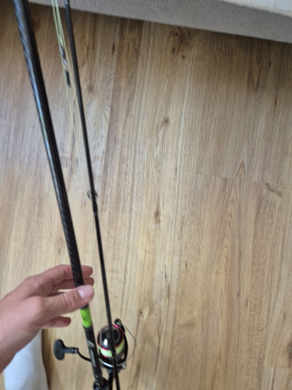 Daiwa Canne da pesca: Daiwa Prorex Spin Rute – Nuovo (secondo la descrizione) da Beckenried venduto da fon_fc2l 6