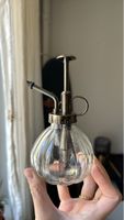Vaporisateur pour plantes verre