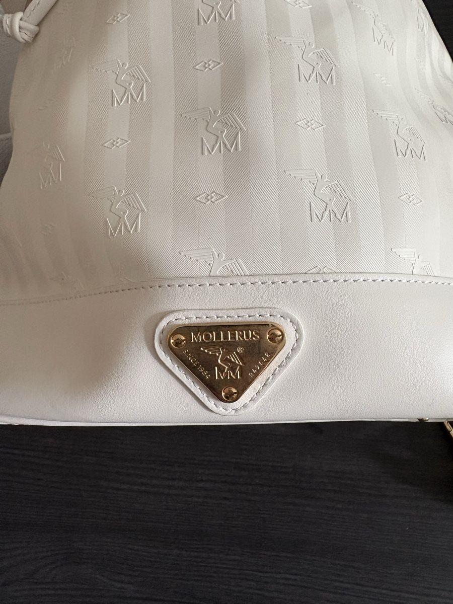 Maison Mollerus Sacs: Maison Mollerus Niesen – D'occasion à Allschwil par MK95 2