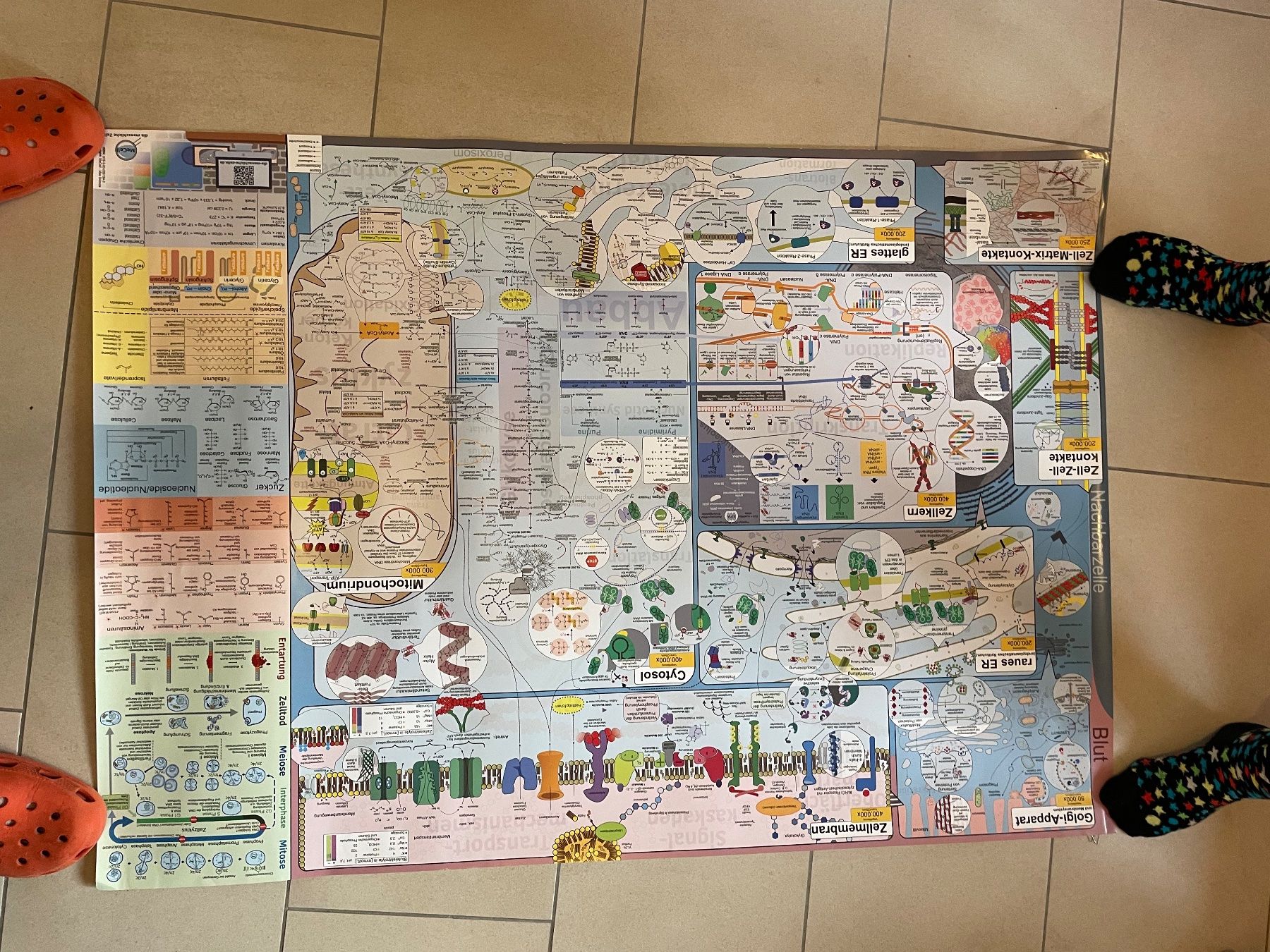 Foto & Immagini: Biochemie Plakat – Usato da Solothurn venduto da sil_g6ph