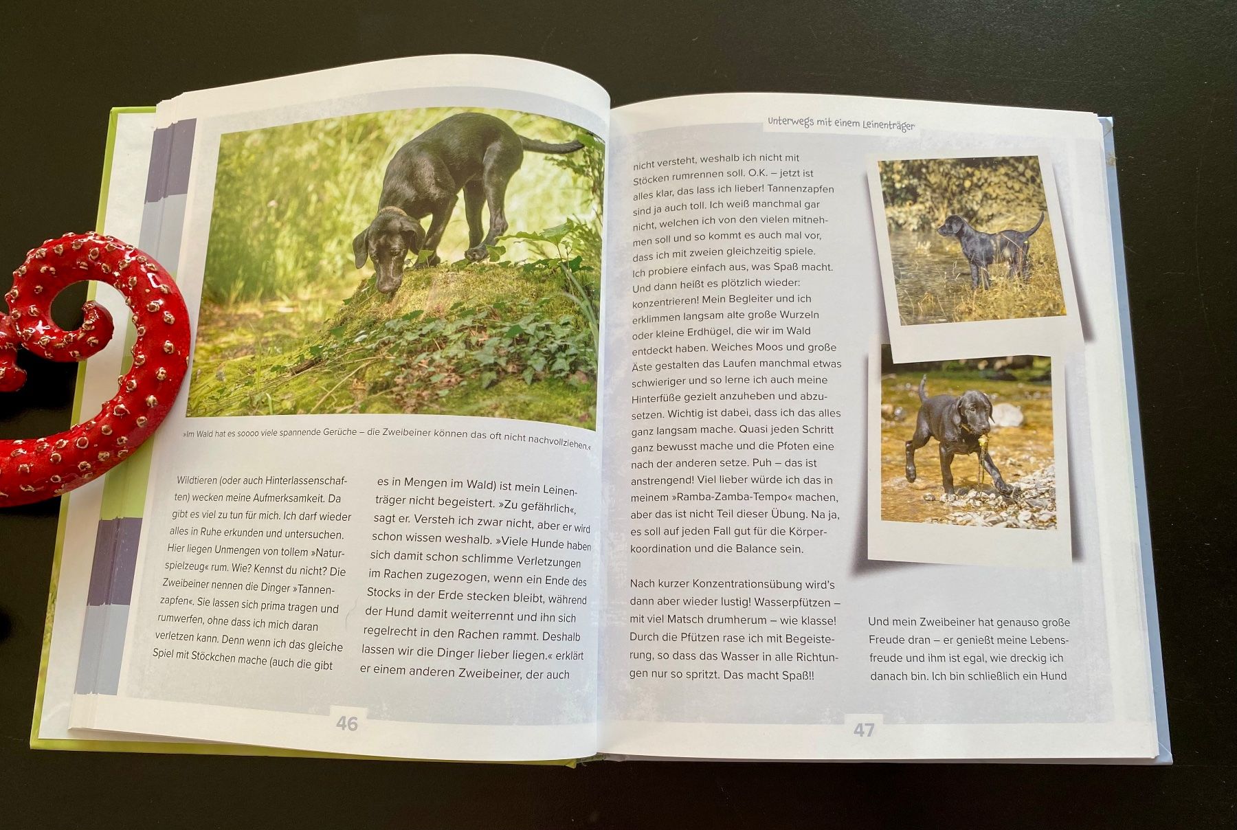 Libri: RAMBAZAMBA MIT LABBI MAMBA – Usato da Nussbaumen AG venduto da schuba2000 2