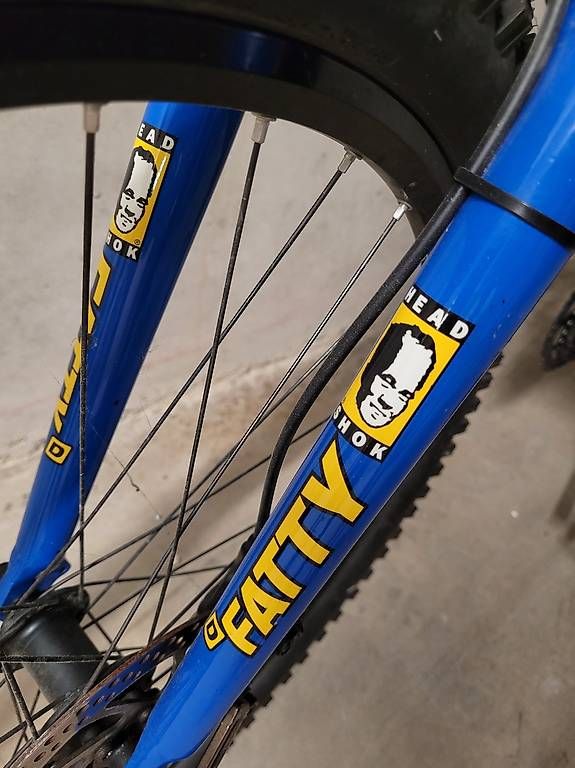 Cannondale Biciclette: Cannondale Mountainbike – Usato da Rebstein venduto da cla_9rxm 1