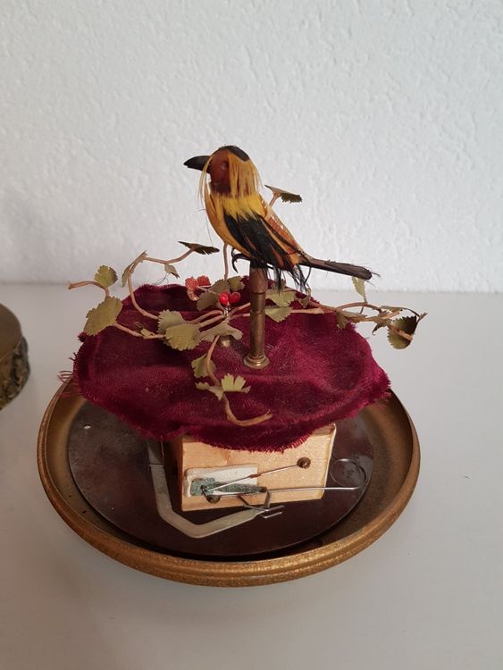 Singvogelautomat ESCHLE "ab 1977 Reuge" alte Spieluhr selten Kaufen