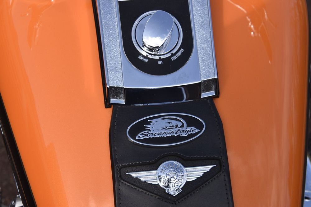 Harley-Davidson Touring: Harley-Davidson Softail Fatboy FLSTF, Typ X, MFK 04.09.2024 – Usato da Kriegstetten venduto da Tamandua 8