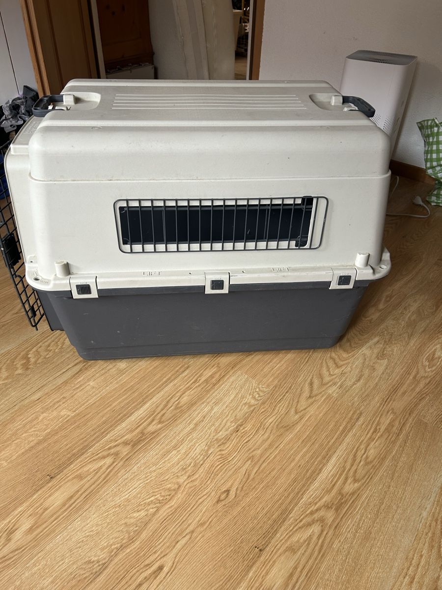 Gabbie, trasporto & Sicurezza: Praktische Hunde Transportbox  – Usato da Gattikon venduto da salomefrehner 1