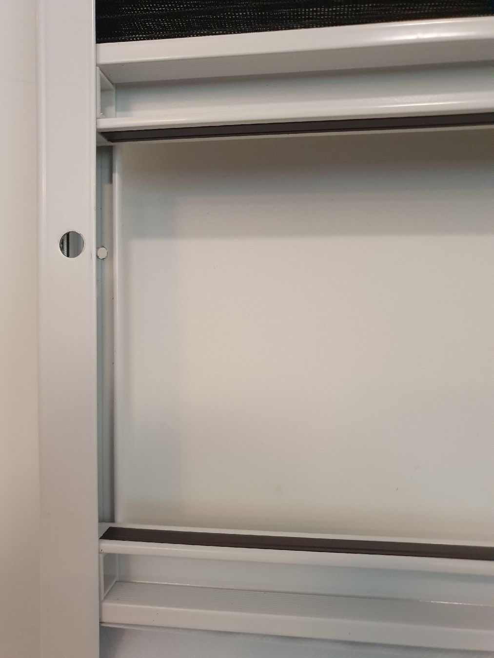Fensterläden: Blisse, Insekten und Schatten – Gebraucht aus Winterthur von Rubinof 8