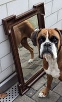 Antiker Spiegel mit Holzrahmen, ohne Hund 🐕