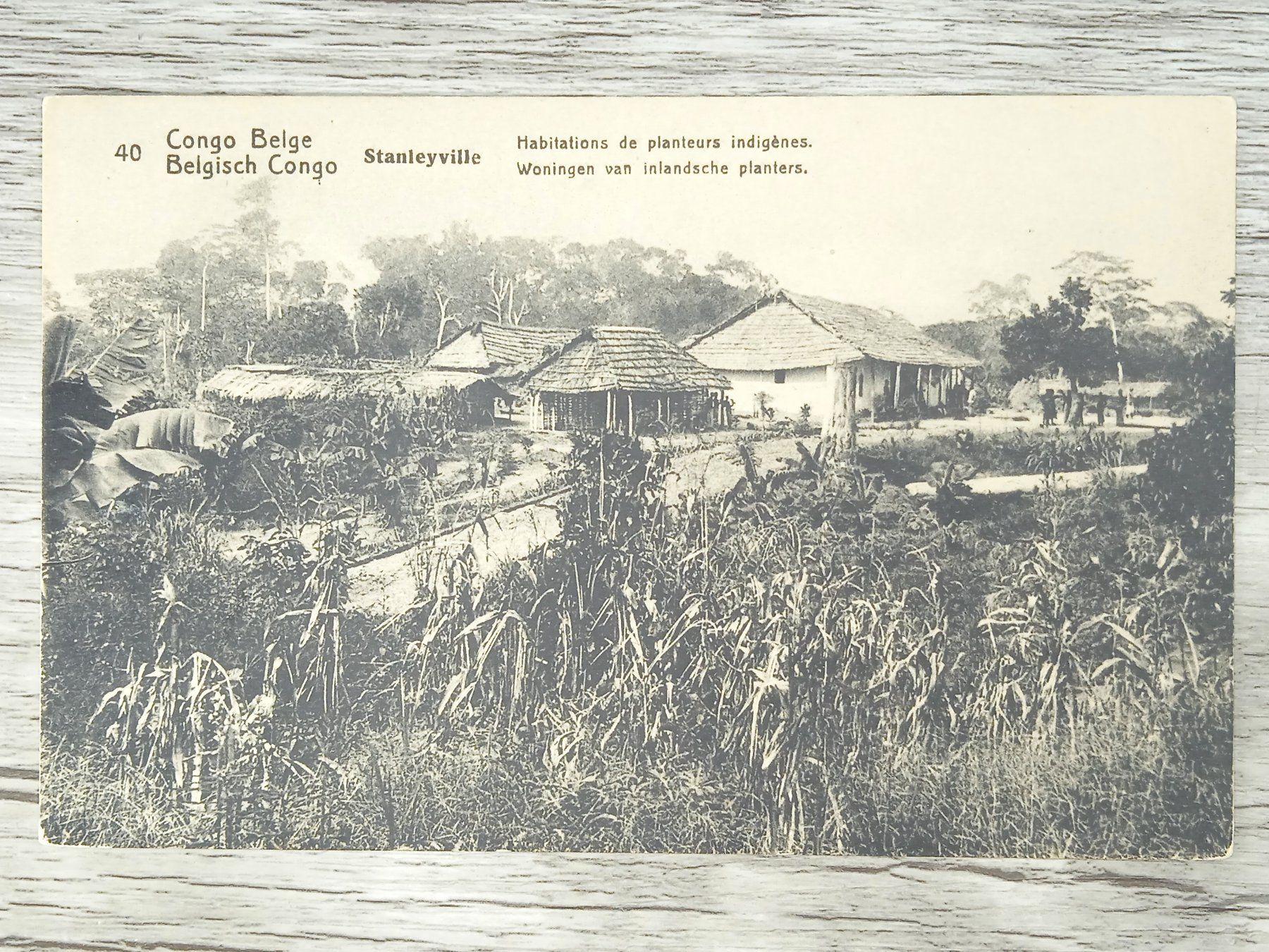 Tutti i francobolli: TR04 Carte Postale + Timbre Congo-Belge 1919/21 – Usato da Cousset venduto da Patrick_Collections