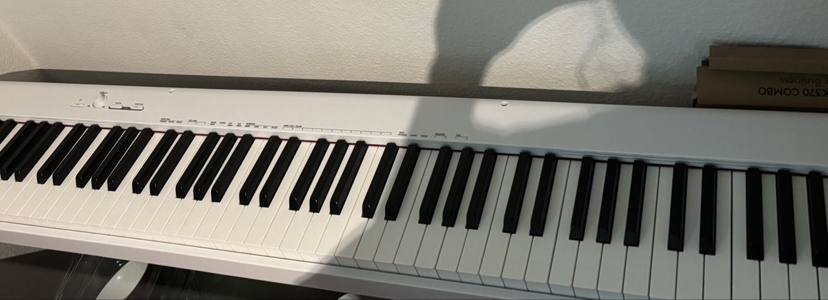 Casio Strumenti musicali: Casio Digitalpiano CDP-S110 / neu! – Nuovo (secondo la descrizione) da Frenkendorf venduto da Abi.S 2