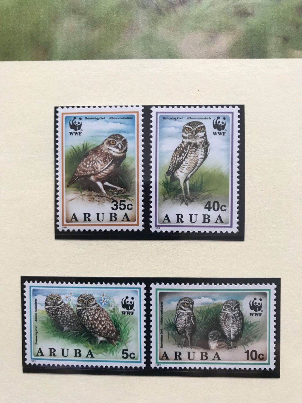 Tutti i francobolli: Aruba 1994 Satz WWF Kaninchenkauz Eule postfrisch – Nuovo (secondo la descrizione) da Winterthur venduto da schnueps