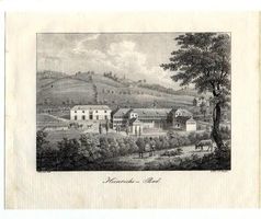 Herisau Heinrichsbad Originallithographie selten