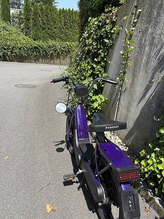 Piaggio Mofas: Piaggio Ciao Lila – Gebraucht aus Kastanienbaum von nvh_pmq9 1