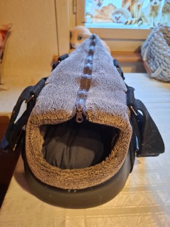2 Hundetragtasche braun für kleine Hunde
