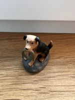 Toni, Fünf Freunde Timmy