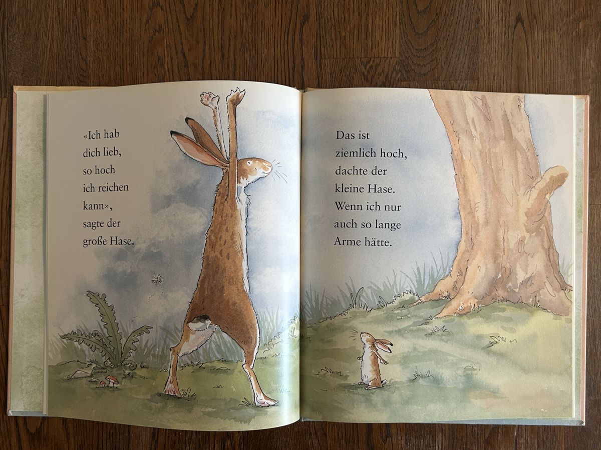 Libri: Buch Weisst du eigentlich, wie lieb ich dich hab. Sauerländ – Usato da Wolhusen venduto da eve_m6cg 1