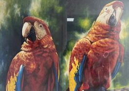 Original-Ölgemälde "Rote Aras" aus Havanna (103x73cm)