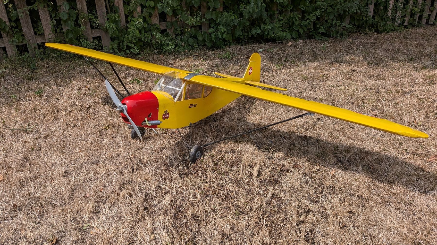 Modellismo RC: Klassiker SIG Piper Cup J3 – Usato da Lotzwil venduto da homer.s 1
