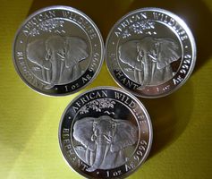 3 x 1 oz Silber 999 Somalia Elefant 2021.ab Fr. 1.