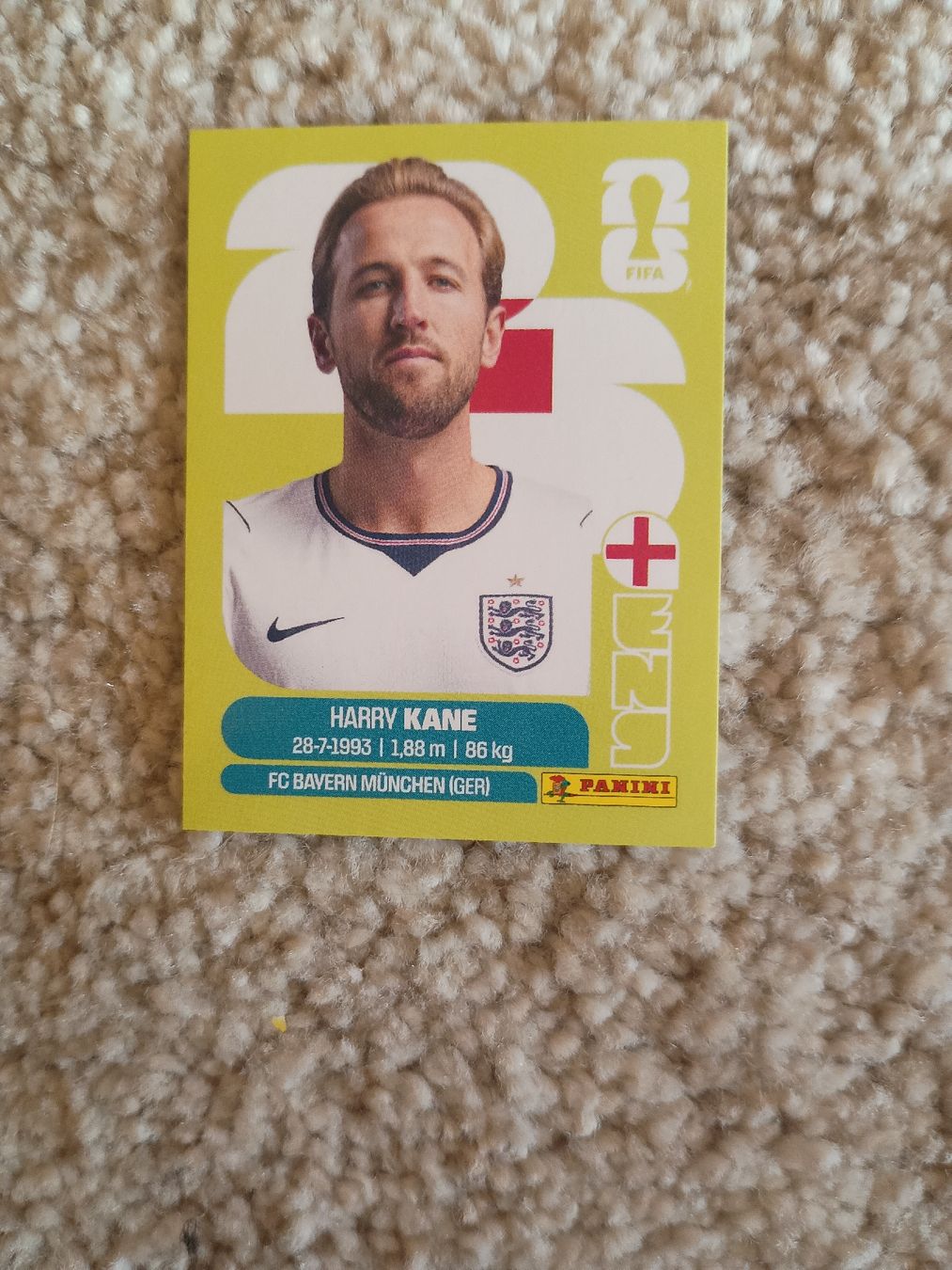 Sticker: Harry Kane Panini Fifa Sticker – Nuovo (secondo la descrizione) da Gstaad venduto da ale_9xcn