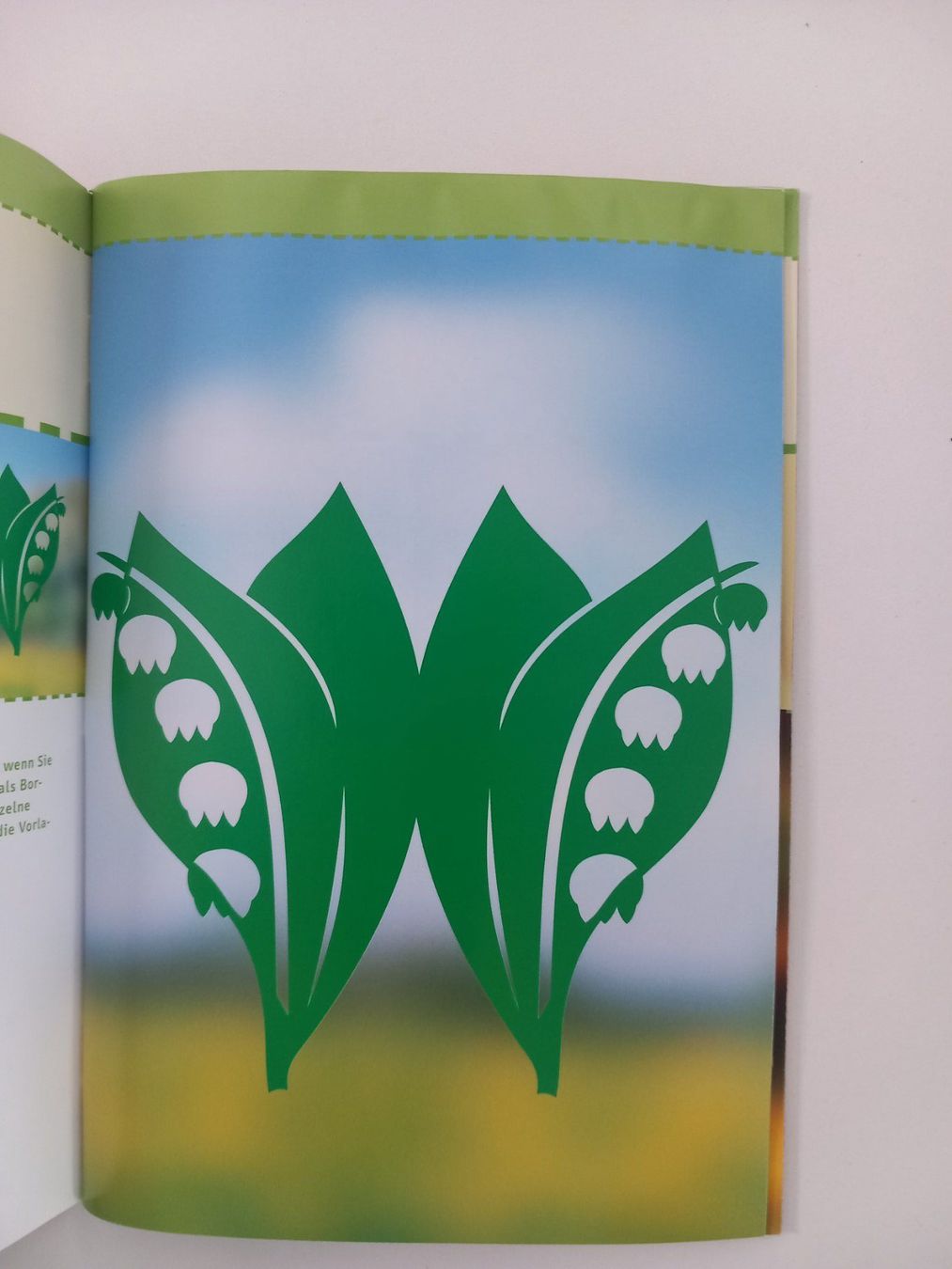 Bücher: Blütenträume Fensterbilder + Vorlagebogen TOPP Bastelbuch – Neu und originalverpackt aus Oensingen von WeApSo45 3